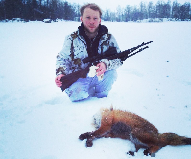 Lockjakt efter räv, vårvinterns höjdpunkt. 2016-02-02